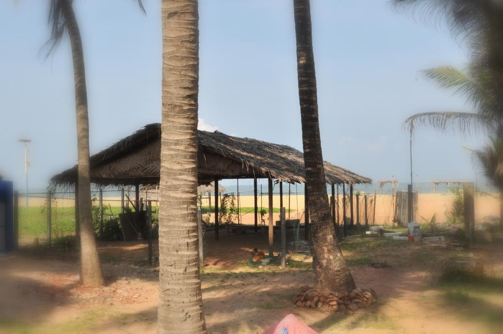 Tms Beach House Negombo Eksteriør bilde