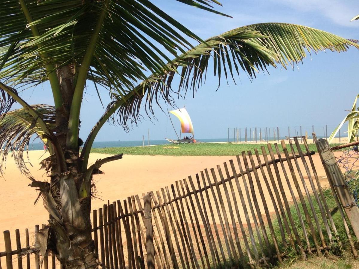 Tms Beach House Negombo Eksteriør bilde